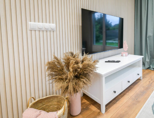 Divertissement – TV 55 pouces avec Netflix et YouTube