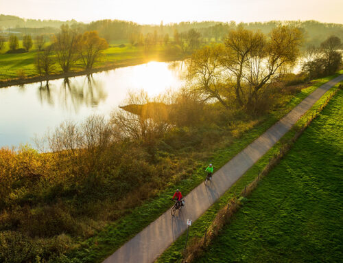 Najciekawsze trasy rowerowe w Oświęcimiu i okolicy – gdzie wybrać się na rower?
