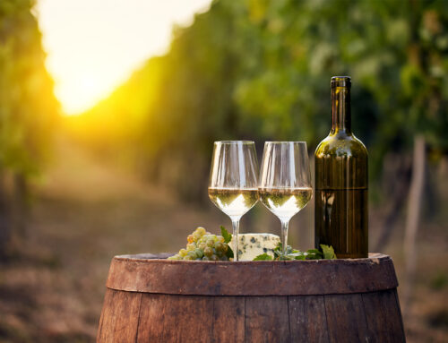 Lokalne wino – najciekawsze winnice w okolicy Oświęcimia